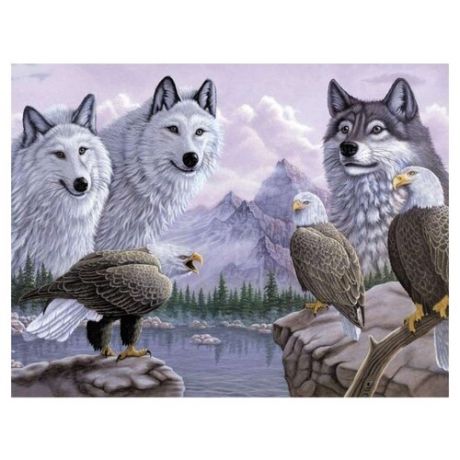 Royal & Langnickel Картина по номерам "Волки" 28,5х39 см (PAL30)