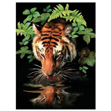 Royal & Langnickel Раскраска по номерам "Тигр" 22х29 (PJS 57)