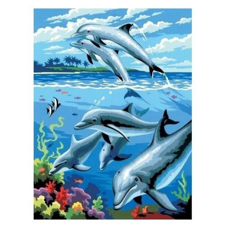 Royal & Langnickel Картина по номерам "Дельфины" 22х29 см (PJS 24)
