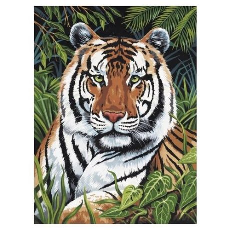 Royal & Langnickel Картина по номерам "Тигр" 22х29 (PJS 75)