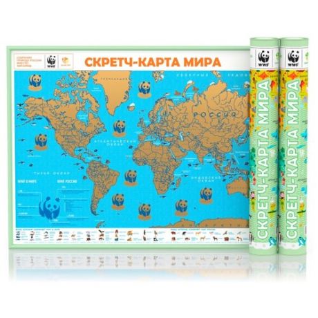 Smart Gift Стираемая карта мира WWF фисташковая А1 59х84см