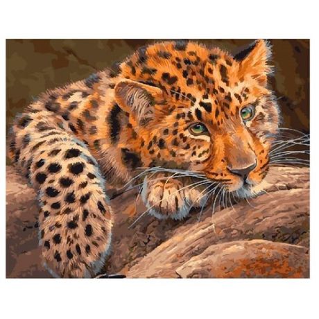 ВанГогВоМне Картина по номерам "Африканский леопард", 40х50 см (ZX 21690)