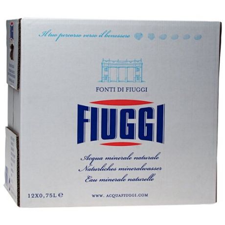 Вода минеральная Fiuggi негазированная, стекло, 12 шт. по 0.75 л