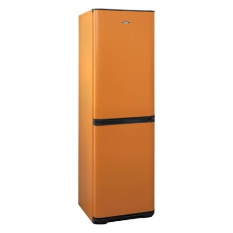 Холодильник БИРЮСА Б-T631, двухкамерный, оранжевый