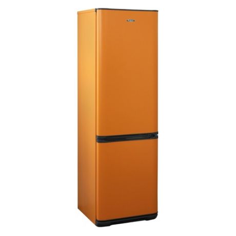 Холодильник БИРЮСА Б-T627, двухкамерный, оранжевый