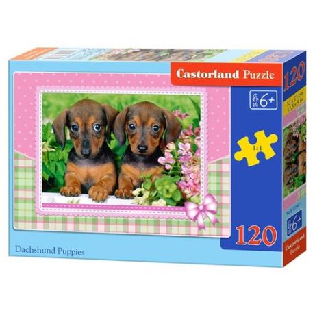 Пазл Castorland Dachshund