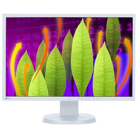 Монитор Eizo FlexScan EV2216WFS