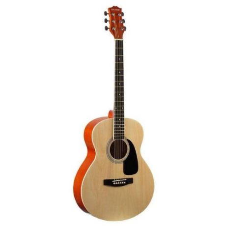 Вестерн-гитара Colombo LF-4000 N