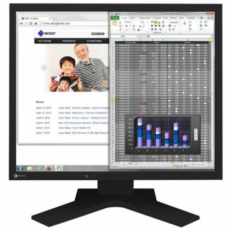 Монитор Eizo FlexScan S1934H 19