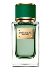 Dolce Gabbana Velvet Cypress