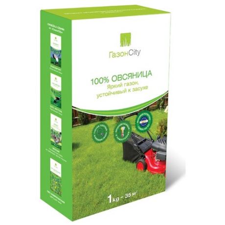 ГазонCity Овсяница 100% Яркий газон, 1 кг