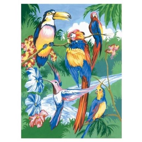 Royal & Langnickel Раскраска по номерам "Тропические птицы" 22.8х28.9 см (PJS15)