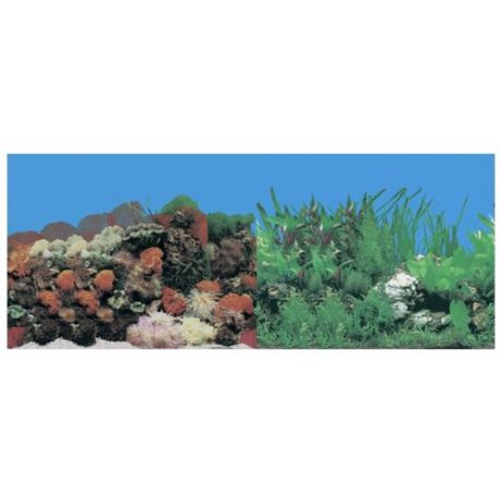 Пленочный фон Prime Кораллы/Растительный двухсторонний 60х150 см