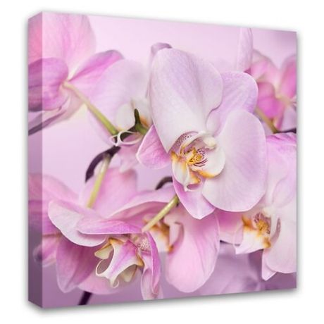 Картина Симфония Орхидея 30х30 см