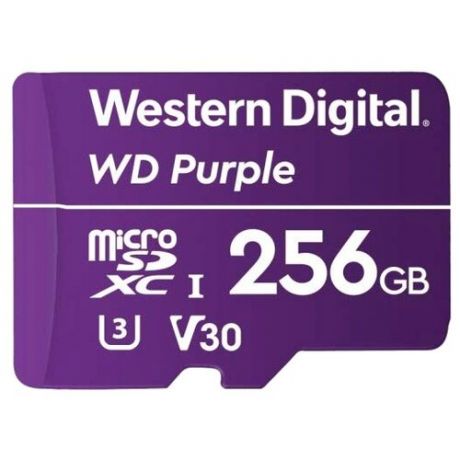 Карта памяти Western Digital WDD256G1P0A