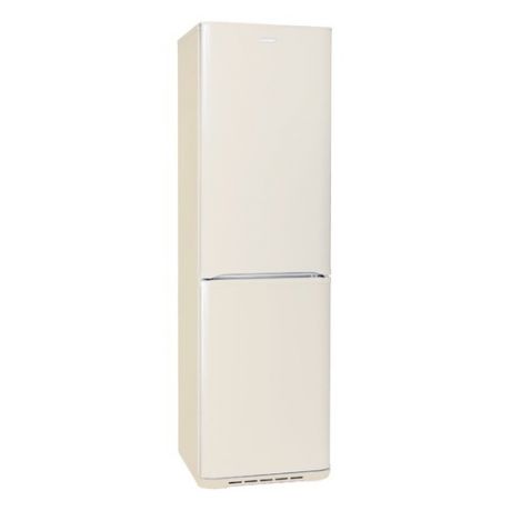 Холодильник БИРЮСА Б-G380NF, двухкамерный, бежевый