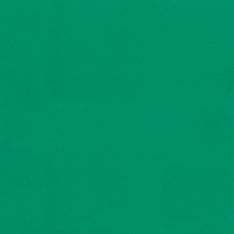 Линолеум спортивный Tarkett Omnisports Excel Field Green 2x20,5 м
