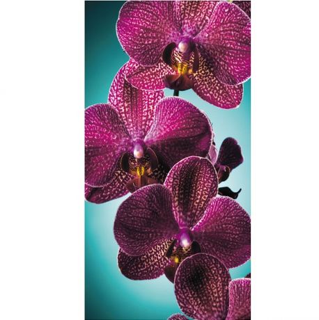 Фотообои виниловые на флизелиновой основе Decocode Орхидея на бирюзе 13-0421-FR 2,5х1,3 м