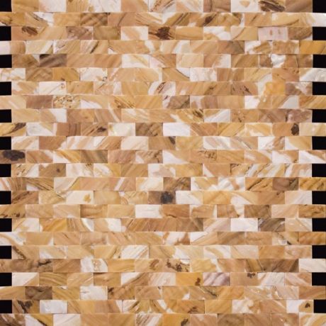 Мозаика из ракушек для бассейна Natural Shell SMF-01-1225