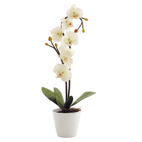 Cветильник декоративный СТАРТ LED Орхидея белая