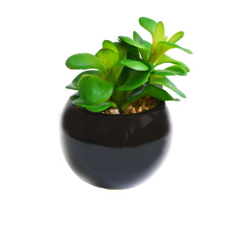Растение искусственное GREEN BELT Суккулент Толстянка, h16см, зеленый, керамическое кашпо