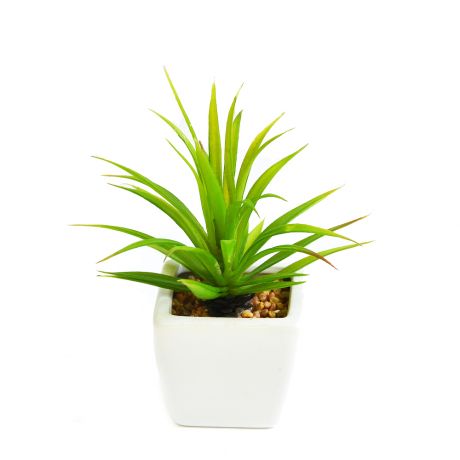 Растение искусственное GREEN BELT Суккулент Тилландсия, h19см, зеленый, керамическое кашпо