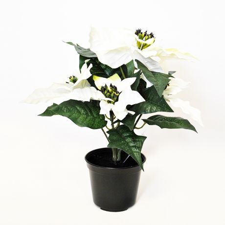 Растение искусственное Пуансетия, размер: h26см, кремовый, пластиковый горшок