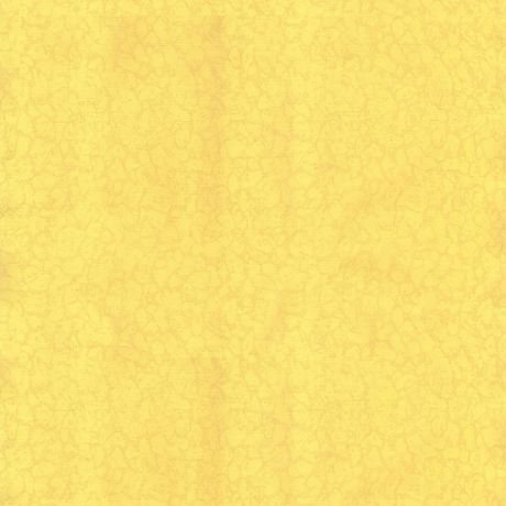 Обои Гомельобои (бумажные дуплекс) Голландия 6091-52(фон 2-2) желтый 0,53х10м