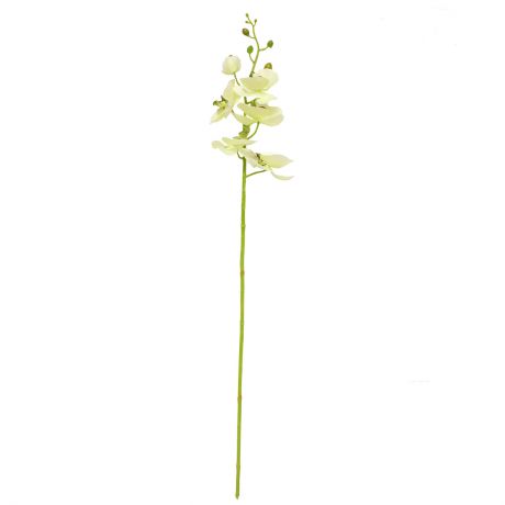 Растение искусственное Орхидея, h85см, салатовый, полиэстер