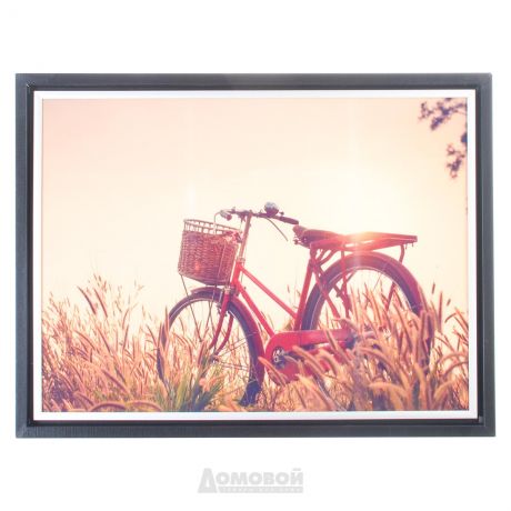 Картина ASPLIN.ART Велосипед 30х40, AGL1-034