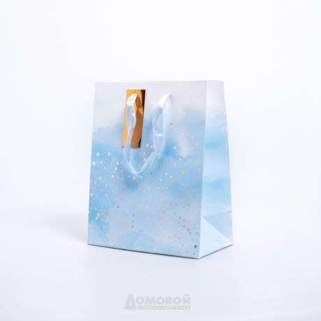 Пакет подарочный Звездочки, 18х23х10см, голубой