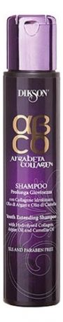Шампунь для волос Продление молодости Argabeta Collagen Youth Extending Shampoo: Шампунь 250мл