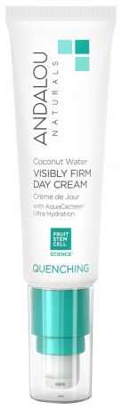 Увлажняющий дневной крем для лица с экстрактом кактуса Quenching Coconut Water Visibly Firm Day Cream 50г