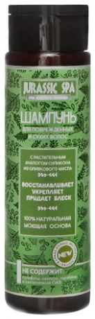 Шампунь для поврежденных и сухих волос с растительным аналогом силикона из оливкового масла: Шампунь 270мл