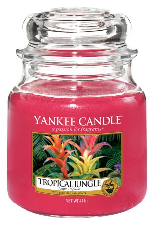 Ароматическая свеча Tropical Jungle: Свеча 411г