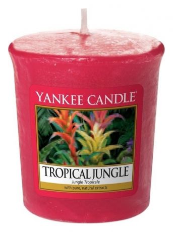 Ароматическая свеча Tropical Jungle: Свеча 49г