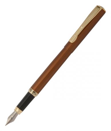 Перьевая ручка Eco PC0866FP