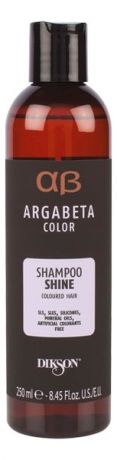 Шампунь для окрашенных волос с маслом черной смородины Argabeta Color Shampoo Shine: Шампунь 250мл
