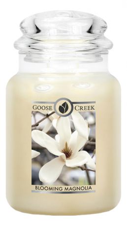 Ароматическая свеча Blooming Magnolia (Цветы магнолии): свеча 680г