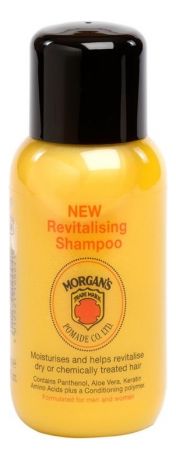 Шампунь восстанавливающий для сухих волос Revitalising Shampoo 250мл