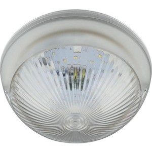 Уличный светодиодный светильник Uniel ULW-R05 12W/DW IP64 White