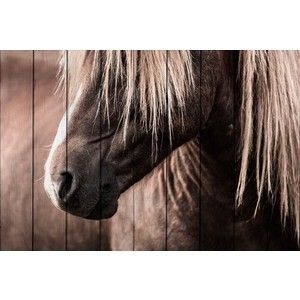 Картина на дереве Дом Корлеоне Скандинавская лошадь 120x180 см