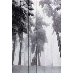 Картина на дереве Дом Корлеоне Снежные сосны 01-0354-30х40