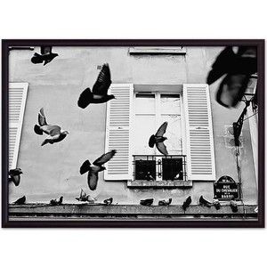 Постер в рамке Дом Корлеоне Голуби Париж 50x70 см