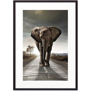 Постер в рамке Дом Корлеоне Слон на дороге 30x40 см