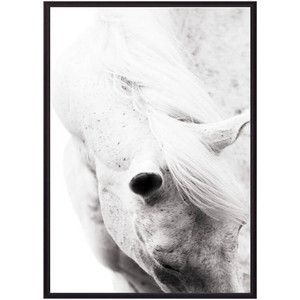 Постер в рамке Дом Корлеоне Белая лошадь 07-0281-21х30