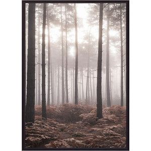 Постер в рамке Дом Корлеоне Туманный лес 40x60 см