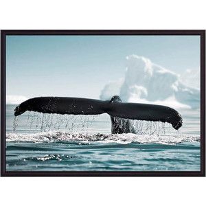 Постер в рамке Дом Корлеоне Хвост кита 21x30 см
