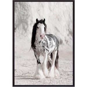 Постер в рамке Дом Корлеоне Ирландская лошадь 40x60 см