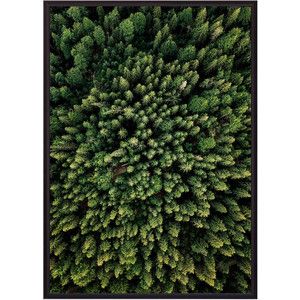 Постер в рамке Дом Корлеоне Зеленый лес с высоты 30x40 см